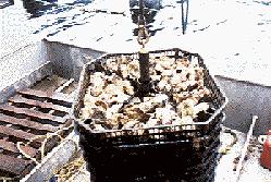 Dark Sea Trays in use